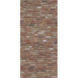Schulte Duschrückwand Klinker 100 x 255 cm