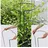 Siena Garden Pflanzenstütze vollrund 55 cm verstellbar