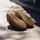 adidas Barreda Decode Wonder Beige / Ice Gold Metallic / Gum 38 2/3