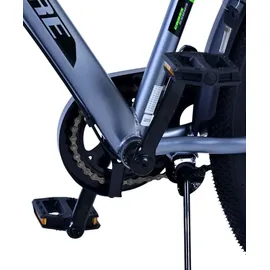 Volare Cross 26" RH 36 cm grau 3-Gang Rücktrittbremse