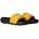 Never Stop Cush Slide Summit Gold/TNF Black 44