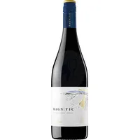 Torres icons Magnetic Tinto 2023
