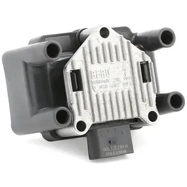 BorgWarner (Beru) Beru Zündspule