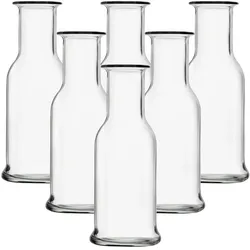 Stölzle Lausitz Karaffen Purity 500 ml 6er Set