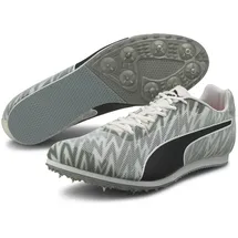 Puma EvoSPEED Star 7 Herren White/Black/Silver 44