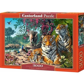 Castorland Puzzle 3000 Teile (3000 Teile)