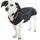 BUSTER Softshell Hundemantel Red L