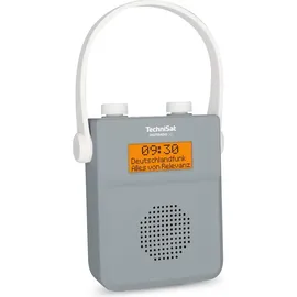 TechniSat DigitRadio 30 grau