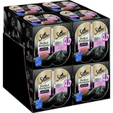 Sheba Perfect Portions Katzennassfutter – Hochwertiges Feuchtfutter für Katzen in 48 Schalen – Edle Pasteten Lachs (MSC) – Katzenfutter – 8er Pack (8 x 6 Schalen à 37,5g)