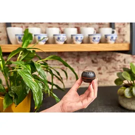 Shelly H&T Temperatur- & Feuchtigkeitssensor schwarz