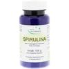 Spirulina Pulver