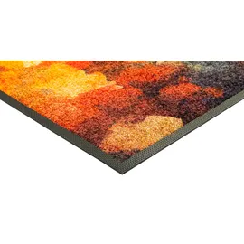 Wash+Dry Golden Season 50 x 75 cm Multicolor